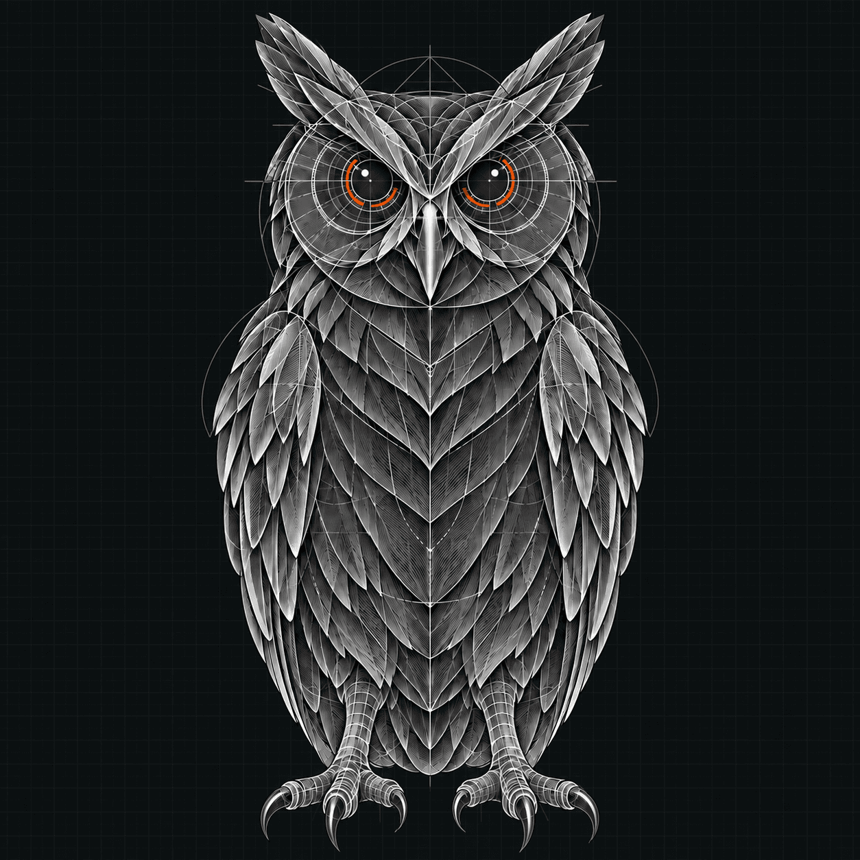 OVRI technical owl construction drawing